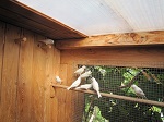Bild 9 von 4